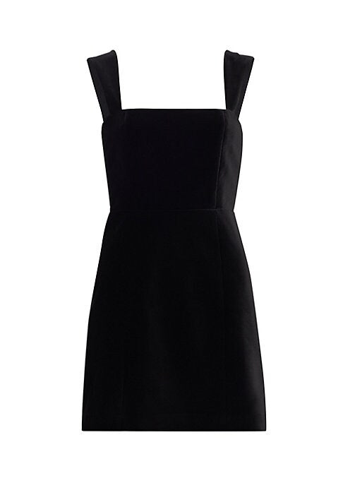 Velvet Flare Mini Dress