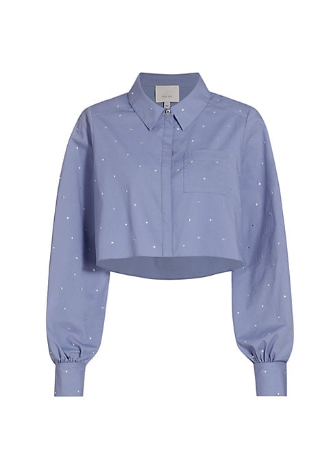 Sparkle Sleeve Crop Top