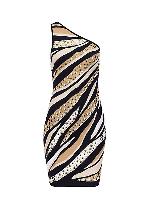 Fierce Tiger Minidress