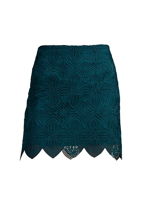 Embroidered Lace Mini Skirt