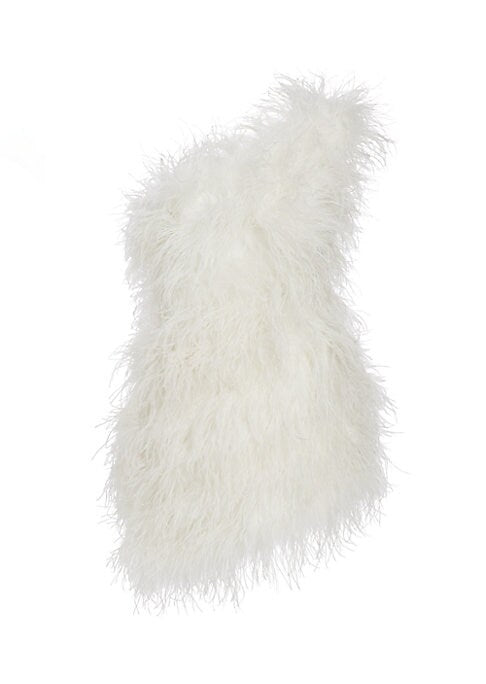 Feathered Charm Minidress