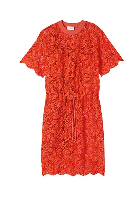 Fern Lace Shift Dress