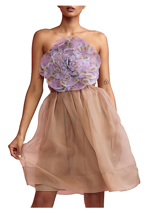 Floral Organza Mini Dress