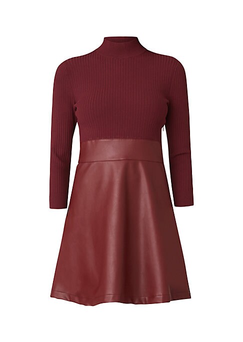 Charming Turtleneck Mini Dress
