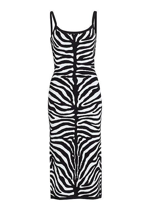 Zebra Stripe Knit Dress