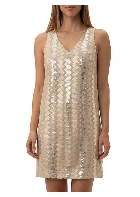 Zigzag Sequin Mini Dress