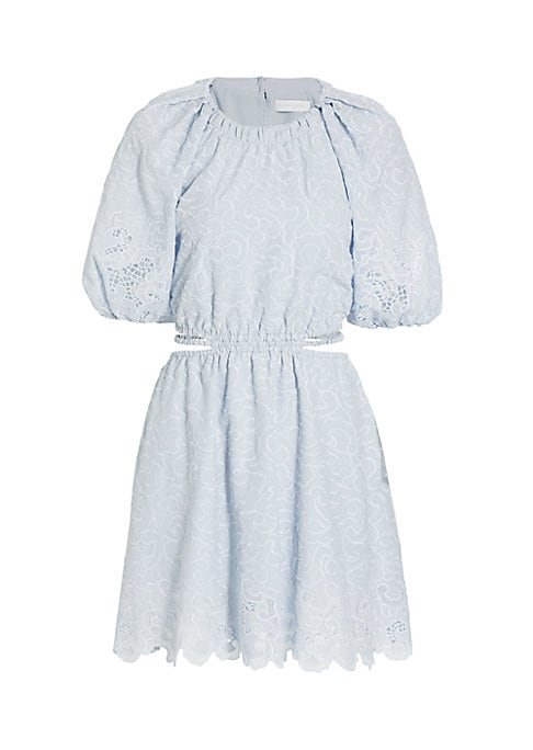 Embroidered Cut-Out Minidress