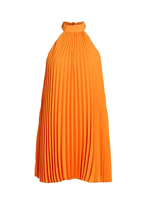 Swaying Pleated Minidress
