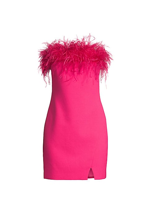 Feathered Charm Minidress