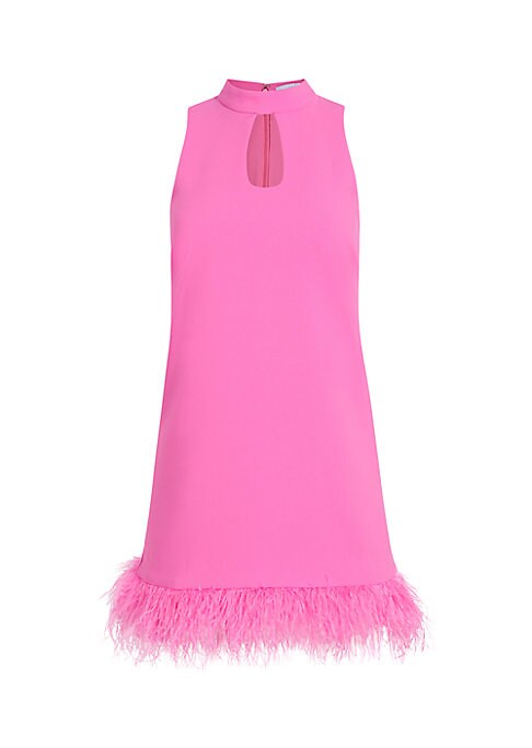 Feathered Flair Minidress
