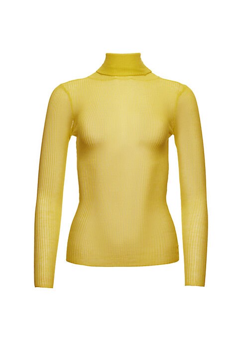 Sheer Luxe Turtleneck