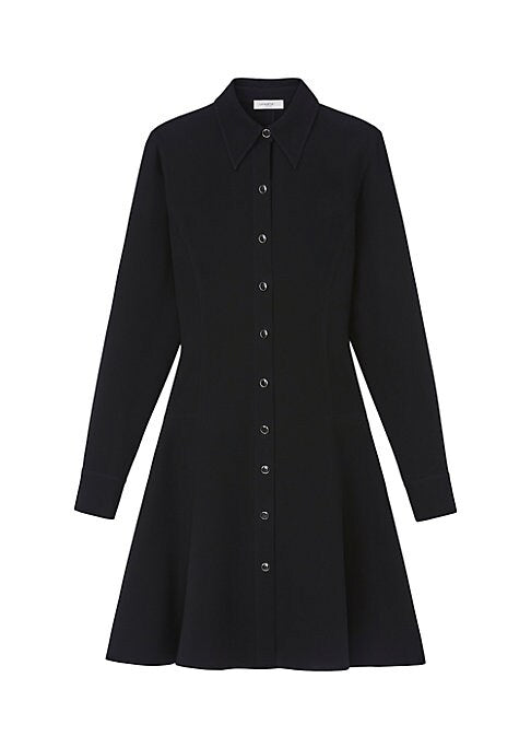 Chic Flare Dress