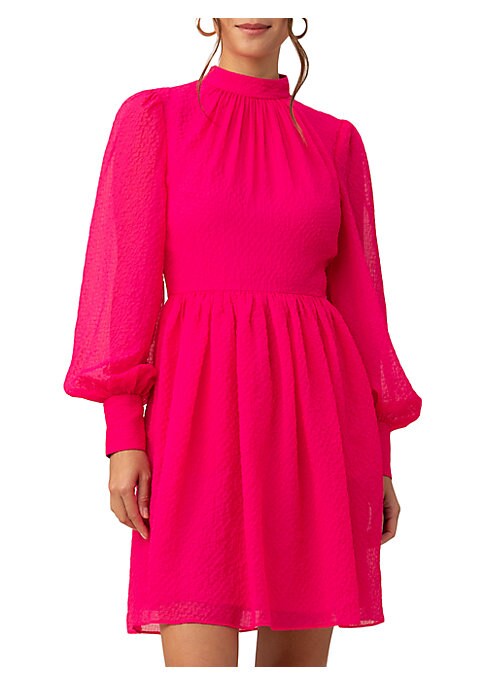 Chic Bishop Dress