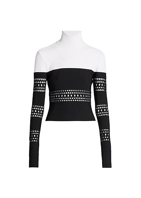 Chic Turtleneck Knit