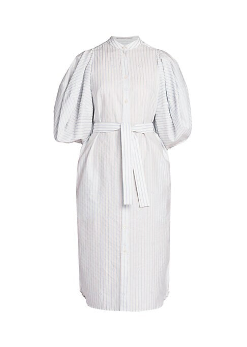 Chic Puff Sleeve Dress