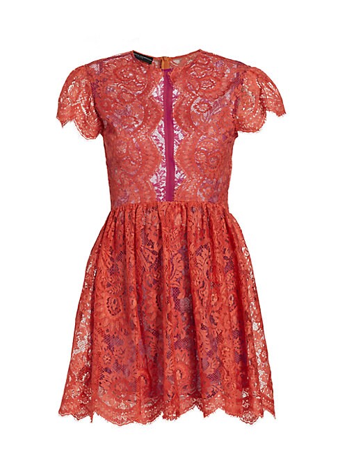 Lace Delight Minidress