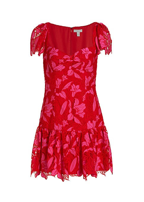 Embroidered Lace Delight Dress