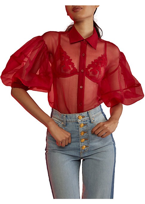Balloon Sleeve Sheer Blouse