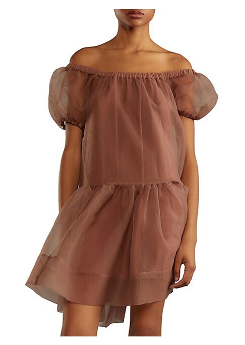 Chic Sheer Balloon Dress
