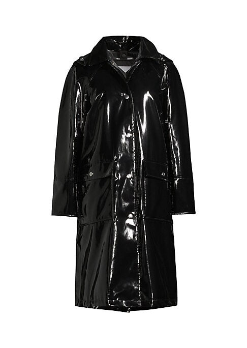 Shiny Weather Shield