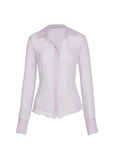 Elegant Sheer Top