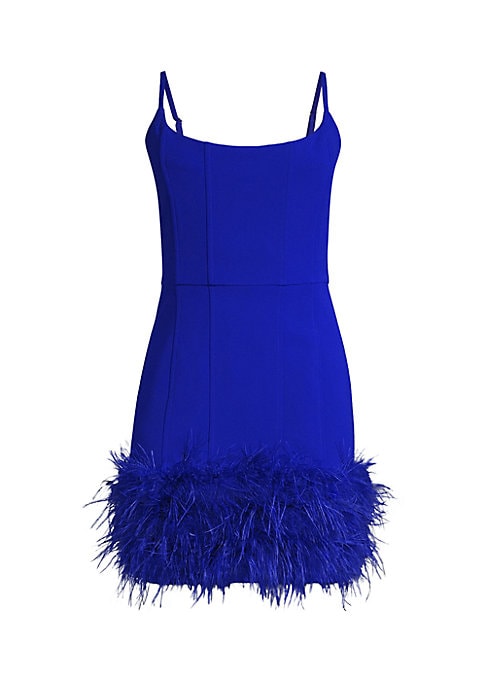 Feathered Glam Mini Dress