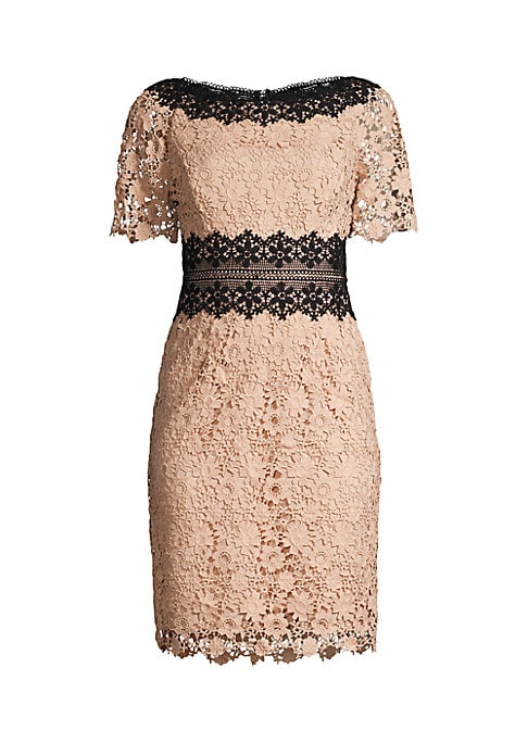 Chic Sheer Lace Dress