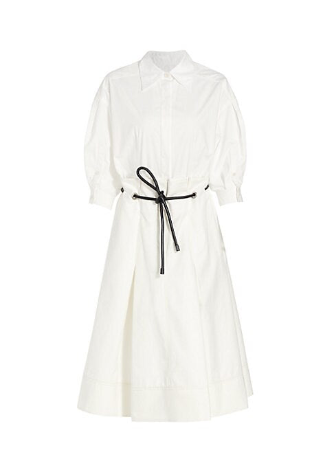 Chic Belted Dress