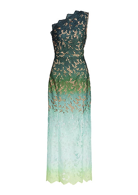 Luxe Ombre Lace Dress