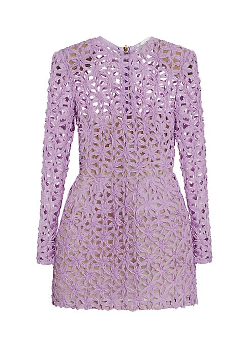 Embroidered Sheer Minidress