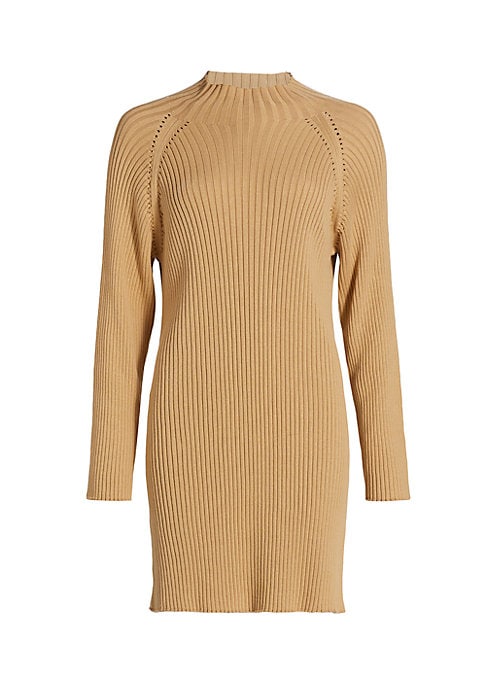 Cozy Funnel Neck Dress
