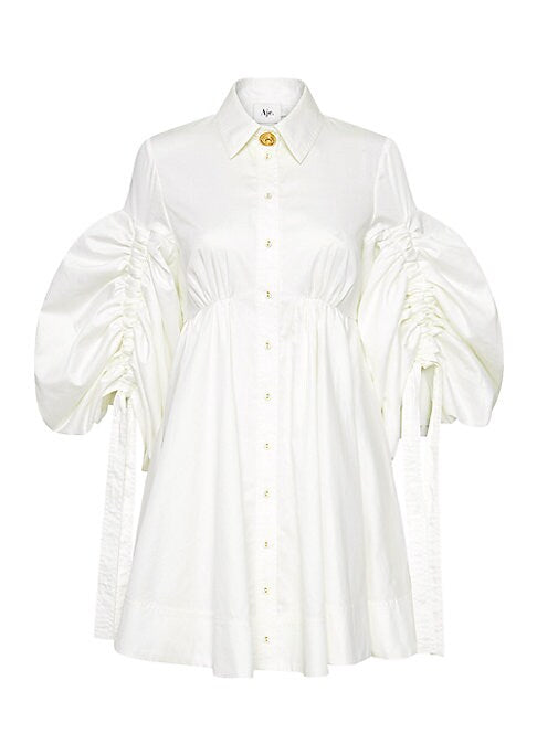 Puff Sleeve A-Line Dress
